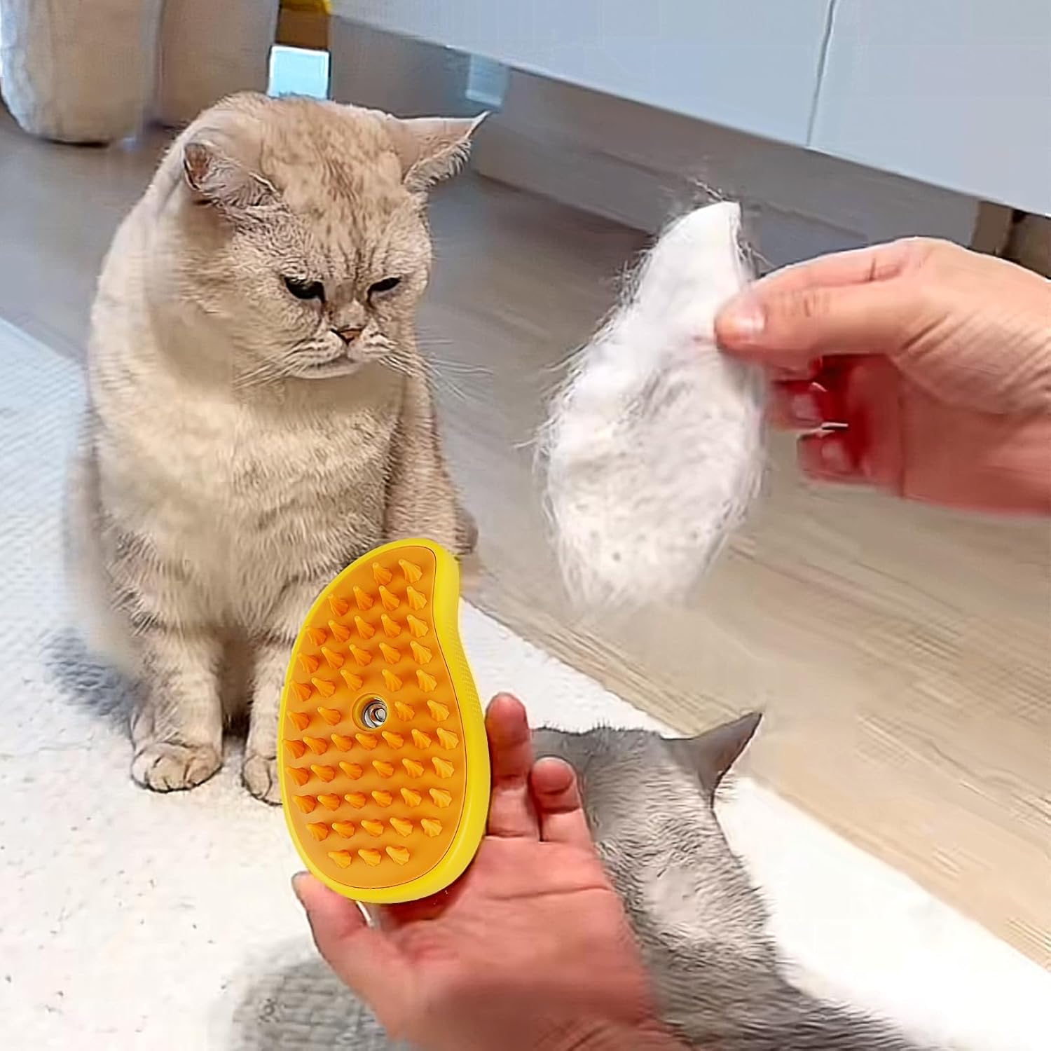 Pawmi Steam Pro