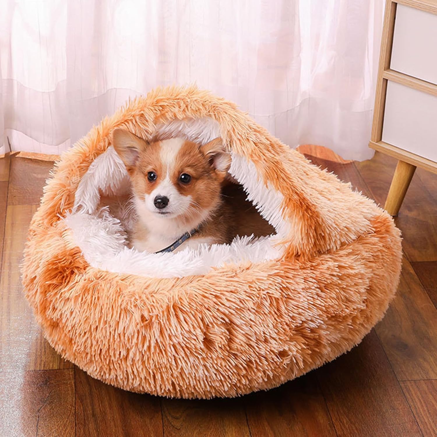 Cama Nido Pawmi