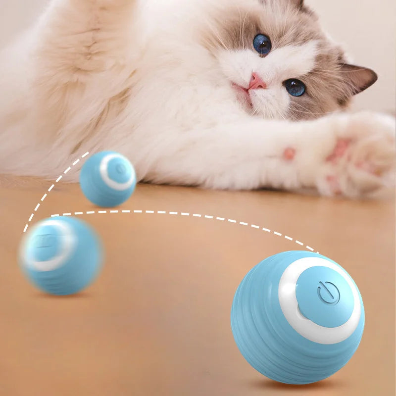 Pawmi Ball Cat