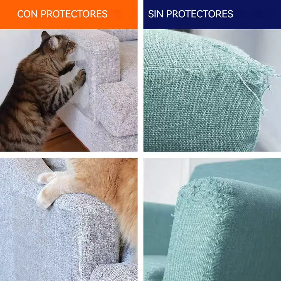 Anti Arañazos Pawmi