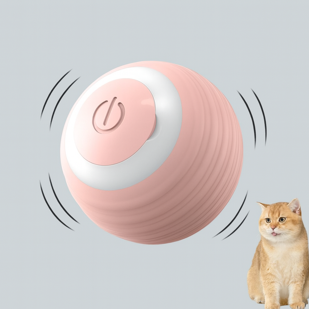 Pawmi Ball