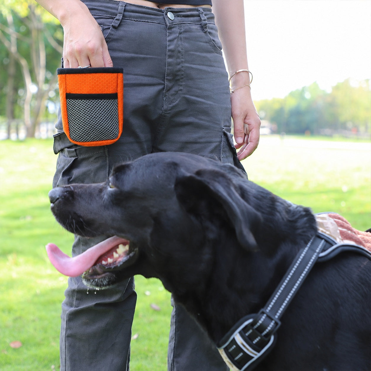 Bolsa de premios Pawmi rosa con clip ajustable