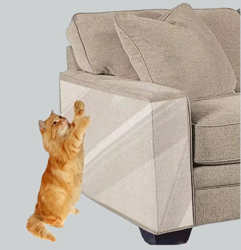 Anti Arañazos Pawmi